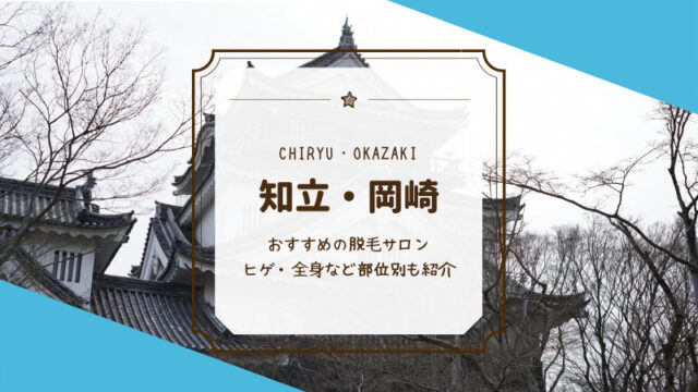 知立 岡崎のおすすめメンズ ヒゲ 脱毛サロン 医療クリニック選 Motehada