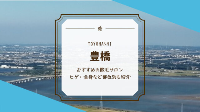 豊橋のおすすめメンズ ヒゲ 脱毛サロン22選 Motehada
